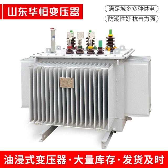 S13-10000/35阜康阜康阜康电力变压器